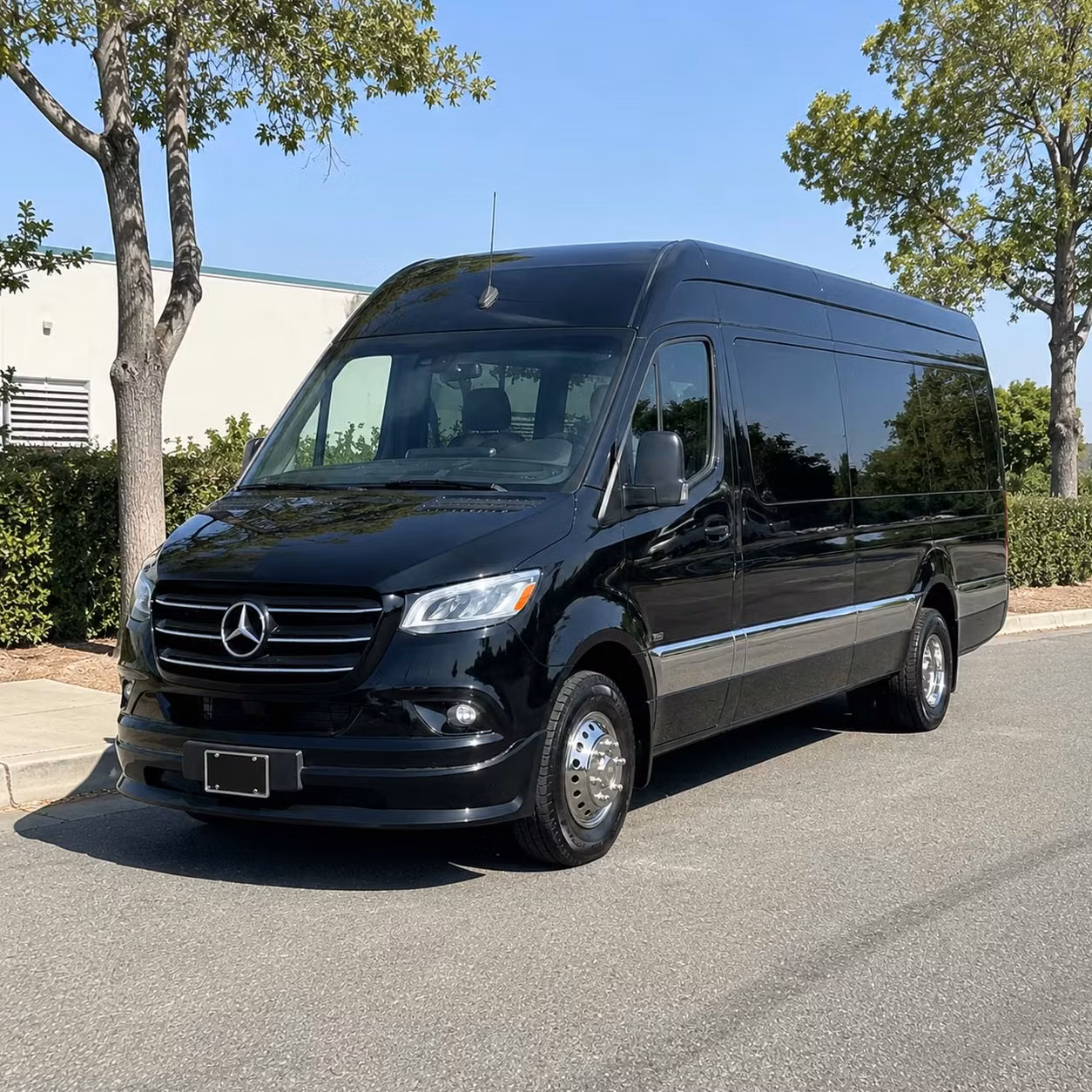 sprinter van with driver
